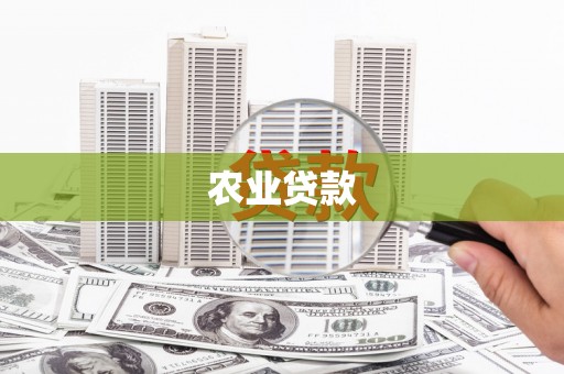 文圣农业贷款