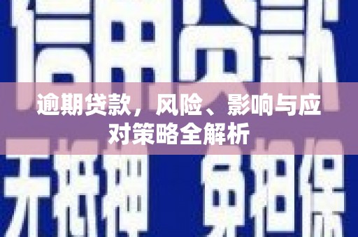 文圣逾期贷款，风险、影响与应对策略全解析