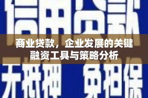 文圣商业贷款，企业发展的关键融资工具与策略分析