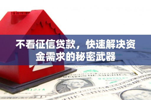文圣不看征信贷款，快速解决资金需求的秘密武器