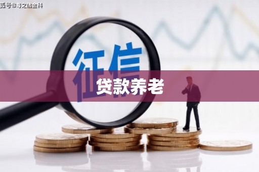 文圣贷款养老
