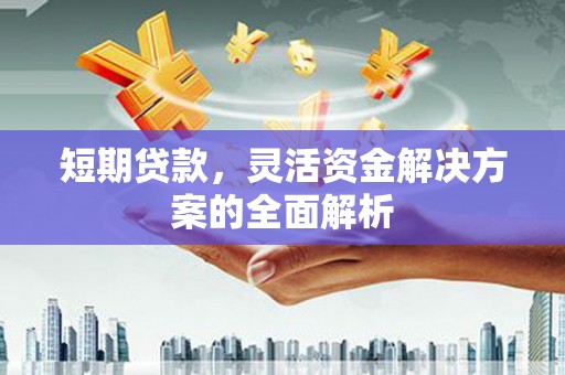 文圣短期贷款，灵活资金解决方案的全面解析