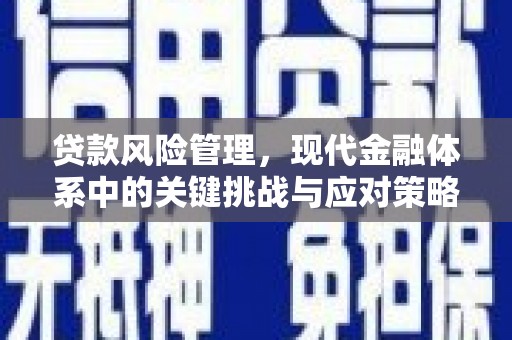 文圣贷款风险管理，现代金融体系中的关键挑战与应对策略