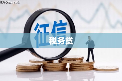 文圣税务贷