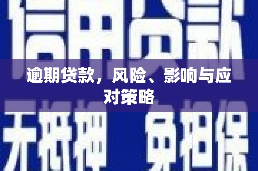 文圣逾期贷款，风险、影响与应对策略
