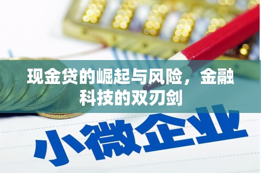 文圣现金贷的崛起与风险，金融科技的双刃剑