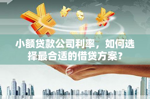 文圣小额贷款公司利率，如何选择最合适的借贷方案？