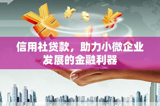文圣信用社贷款，助力小微企业发展的金融利器