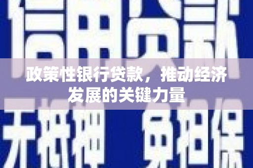 文圣政策性银行贷款，推动经济发展的关键力量