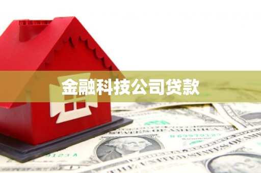 文圣金融科技公司贷款