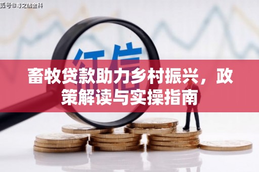 文圣畜牧贷款助力乡村振兴，政策解读与实操指南