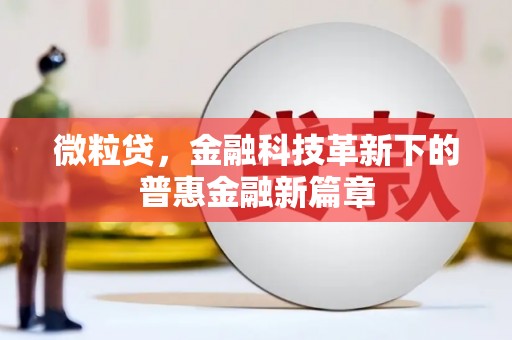文圣微粒贷，金融科技革新下的普惠金融新篇章