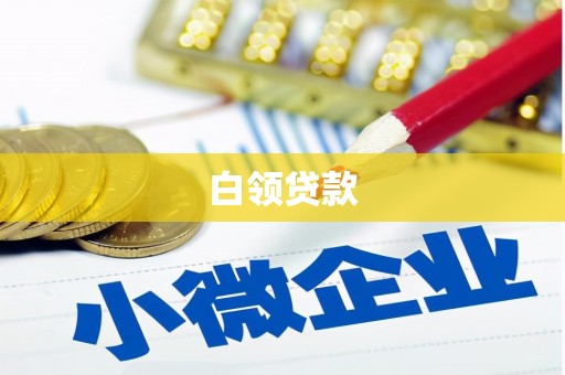 文圣白领贷款
