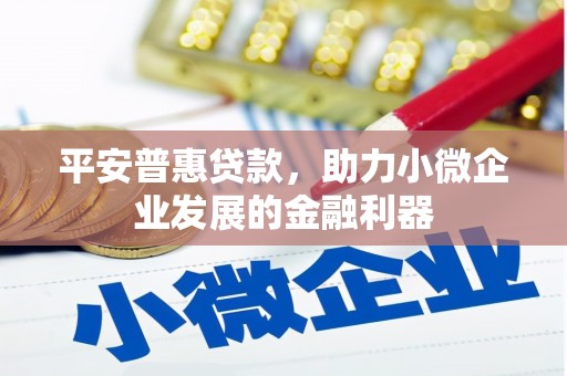 文圣平安普惠贷款，助力小微企业发展的金融利器