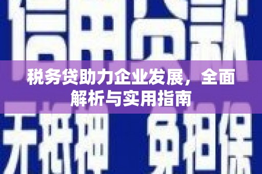 文圣税务贷助力企业发展，全面解析与实用指南