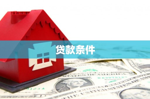 文圣贷款条件