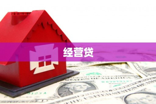 文圣经营贷