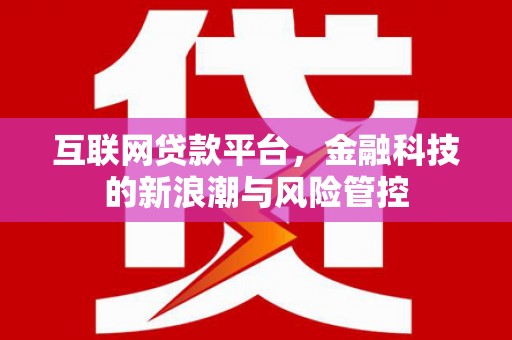文圣互联网贷款平台，金融科技的新浪潮与风险管控