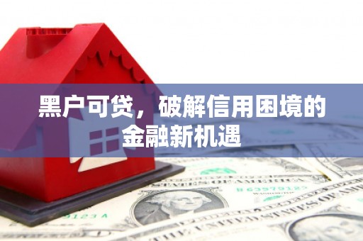 文圣黑户可贷，破解信用困境的金融新机遇