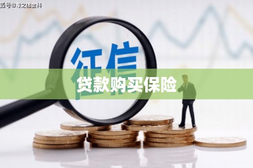 文圣贷款购买保险