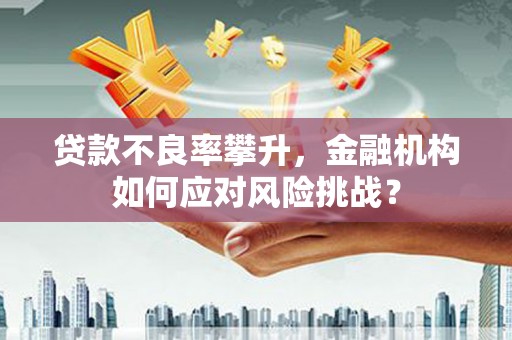 文圣贷款不良率攀升，金融机构如何应对风险挑战？