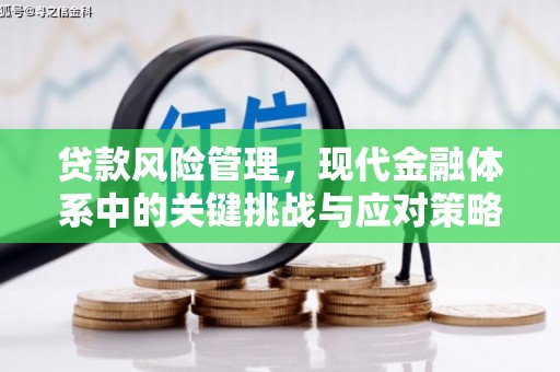 文圣贷款风险管理，现代金融体系中的关键挑战与应对策略