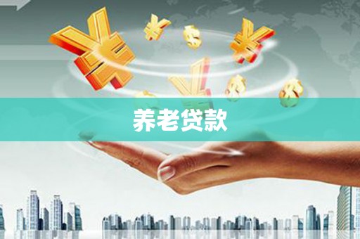 文圣养老贷款