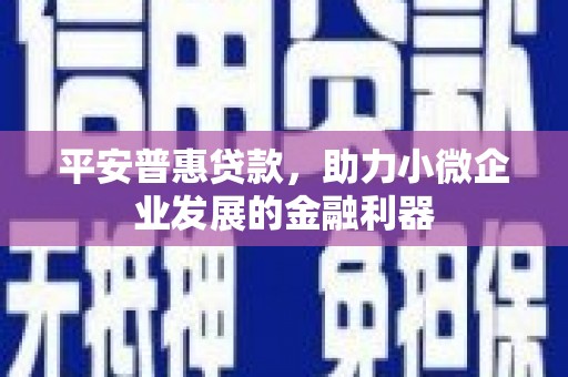 文圣平安普惠贷款，助力小微企业发展的金融利器