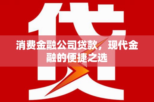 文圣消费金融公司贷款，现代金融的便捷之选