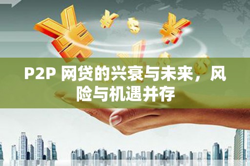 文圣P2P 网贷的兴衰与未来，风险与机遇并存