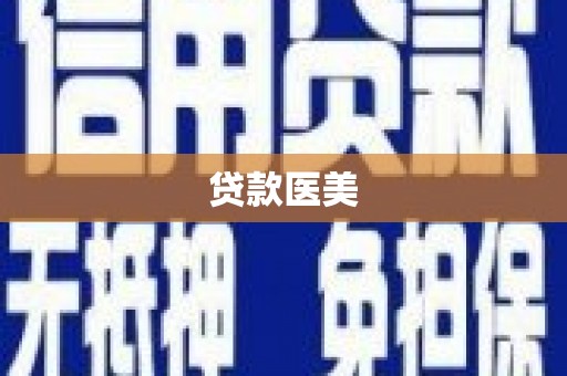 文圣贷款医美