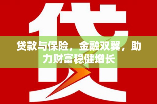 文圣贷款与保险，金融双翼，助力财富稳健增长