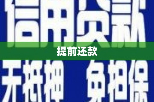 文圣提前还款