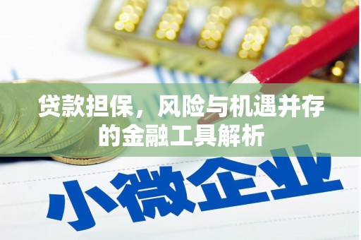 文圣贷款担保，风险与机遇并存的金融工具解析