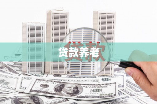 文圣贷款养老