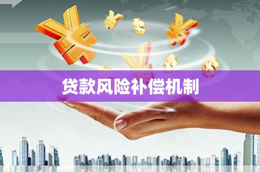 文圣贷款风险补偿机制