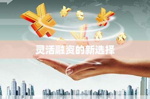文圣灵活融资的新选择