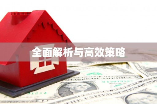 文圣全面解析与高效策略