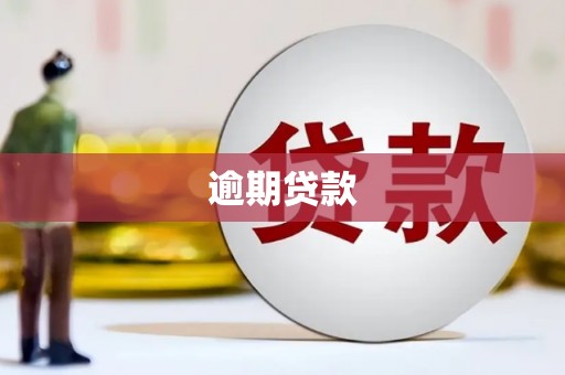 文圣逾期贷款