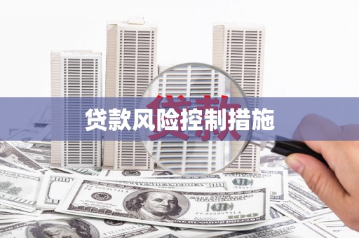 文圣贷款风险控制措施