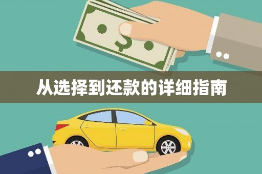 文圣从选择到还款的详细指南
