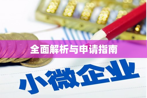 文圣全面解析与申请指南