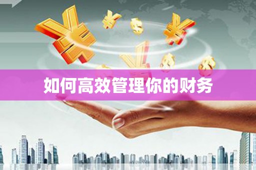 文圣如何高效管理你的财务