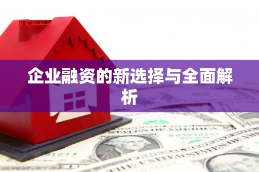 文圣企业融资的新选择与全面解析