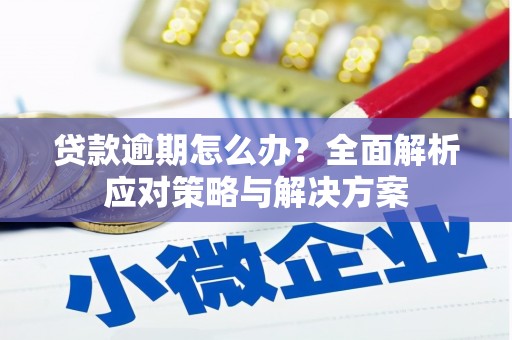文圣贷款逾期怎么办？全面解析应对策略与解决方案