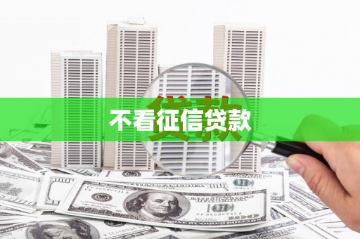 文圣不看征信贷款