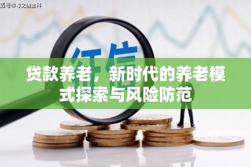 文圣贷款养老，新时代的养老模式探索与风险防范