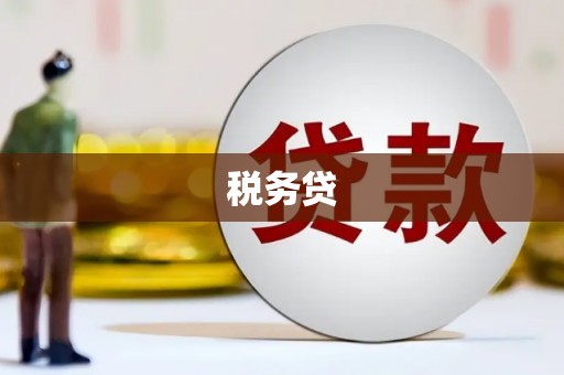 文圣税务贷