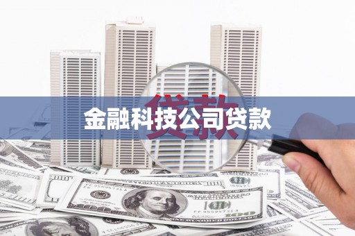 文圣金融科技公司贷款
