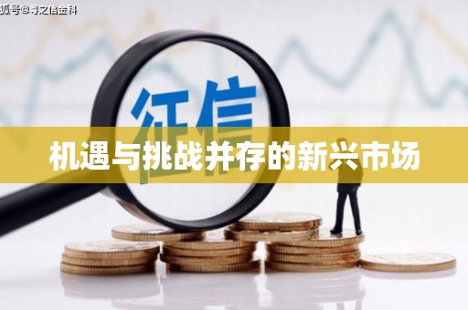 文圣机遇与挑战并存的新兴市场